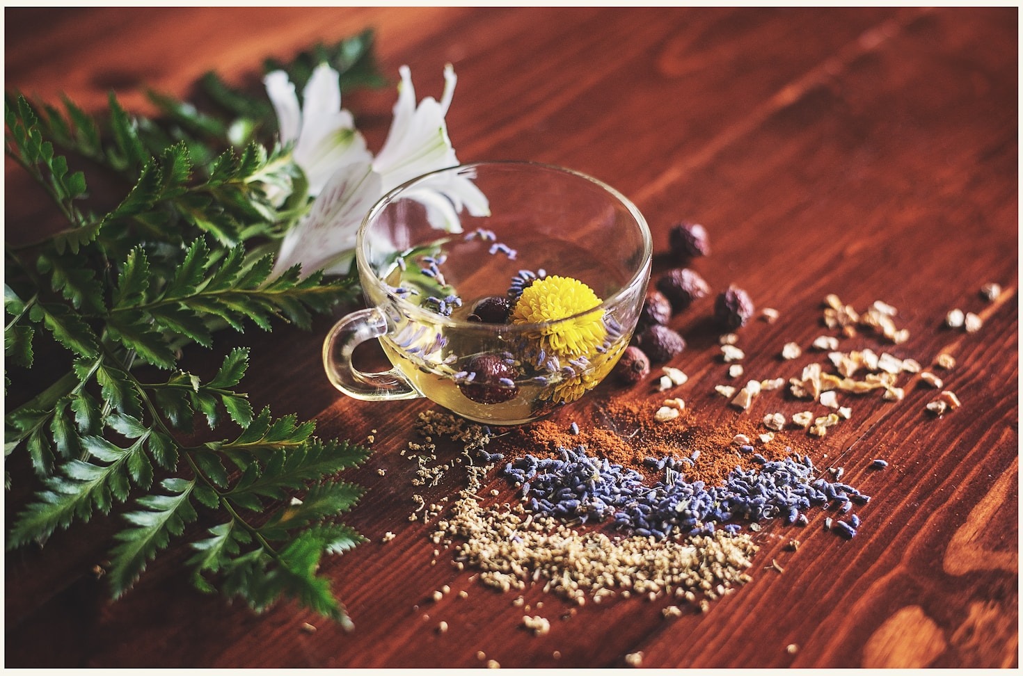 Top Herbal Teas for Boosting Immunity